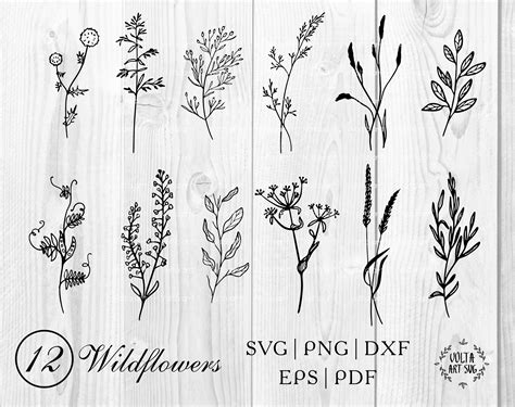 Wildflowers Svg Floral SVG Bundle Flowers Svg Hand Drawn Etsy