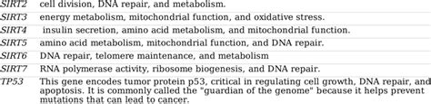 Sirtuins Functions And Pathways Sirt1 Gene Expression Dna Repair Download Scientific Diagram