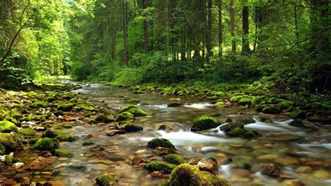 Image Result For Summer Country Scenes Mountain Stream Nature