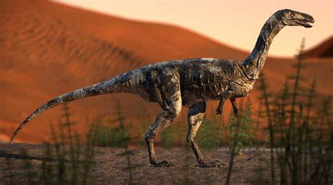 Espécie Inédita De Dinossauro Carnívoro é Descoberta No Paraná Planeta