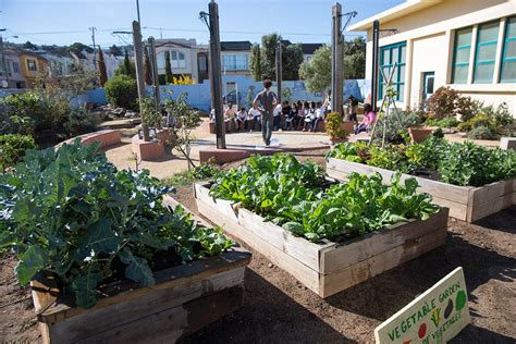 School Gardens — Design And Teaching — National Covid 19 Outdoor