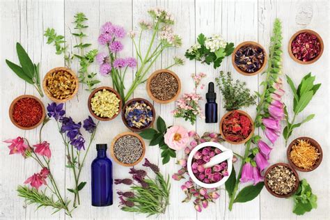 Aromatherapy For Beginners Velas Magazine