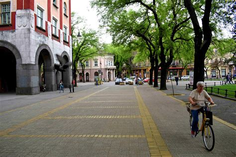 Subotica Serbia When Trees Take Over A City