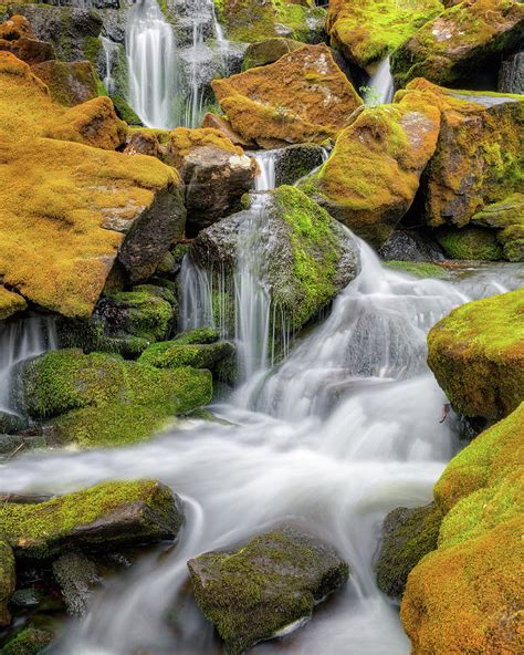 Mossy Falls Photograph By Bill Wakeley Fine Art America