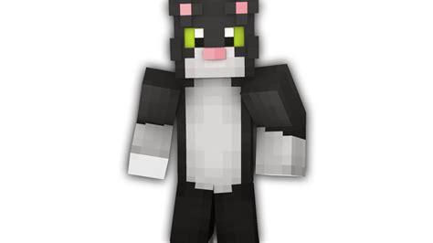 Minecraft Papercraft Tuxedo Cat
