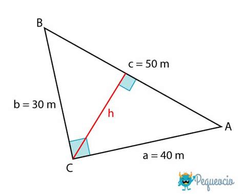 Triángulo Rectángulo Características Y Fórmulas Pequeocio 2022