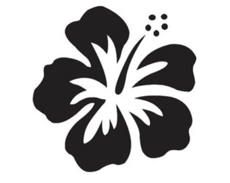 A Black And White Image Of A Flower On A White Background With The