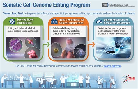 Somatic Cell Genome Editing Nih Common Fund