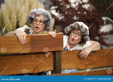 Two Old Women Peeping Over The Garden Fence Stock Image Image Of Rood