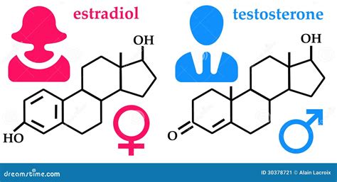 Estrogens Female Hormones Vector Chemical Molecular Formulas