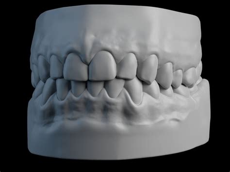 Teeth And Gum Realistic Model In Zbrush Ztl 3d Model 3d Printable Obj Ztl