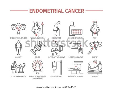 Cáncer Endometrial Síntomas Causas Tratamiento Conjunto De Iconos