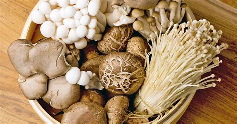 30 Of The Best Ideas For Growing Shiitake Mushrooms Indoors Home