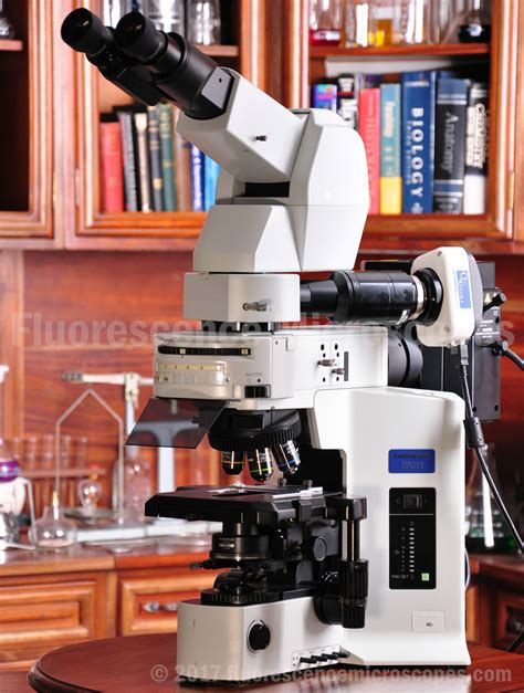 Fluorescence Microscopes Olympus Bx51 Upright Fluorescence Research