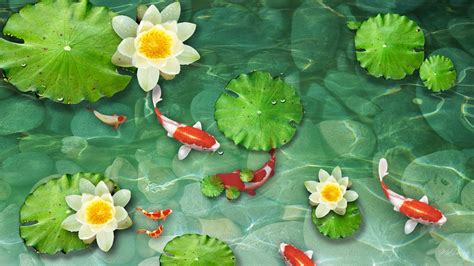 Koi Pond Wallpaper Pictures
