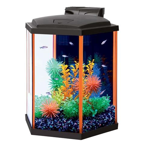 Aqueon Neoglow Led Hexagon Orange Aquarium Kit 8 Gallon15l X 1325w