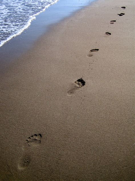 Free Photo Footsteps On Sand Beach Closeup Feet Free Download