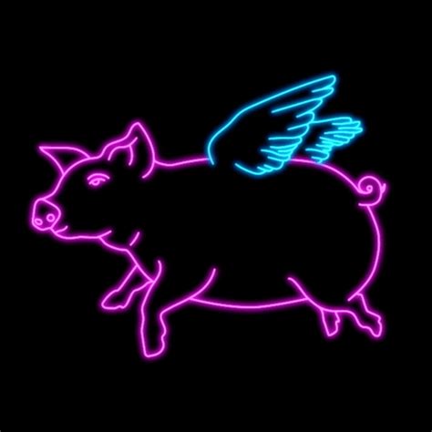 Pig With Wings S Find And Share On Giphy