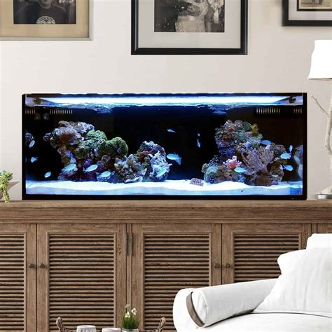 The Best 30 Gallon Fish Tanks And Aquariums For The Money 2022