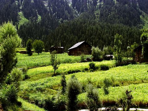 Marvelous Pakistan: Beautiful Pakistan: Lalazar