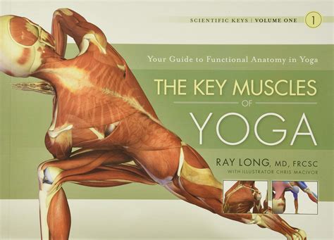 Key Muscles Of Yoga Your Guide To Functional Anatomy In Yoga Buy