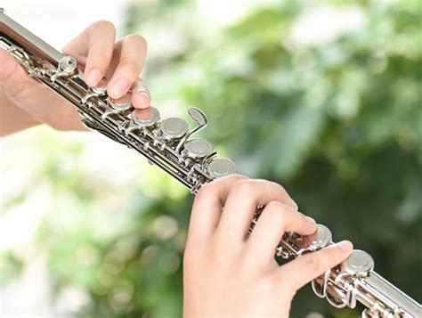 5 Best Professional Flutes Reviewed In Detail Jun 2020