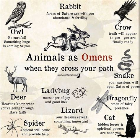𝔗𝔥𝔢 𝔏𝔲𝔫𝔞 𝔚𝔦𝔱𝔠𝔥 ☽s Instagram Profile Post Animals As Omens When