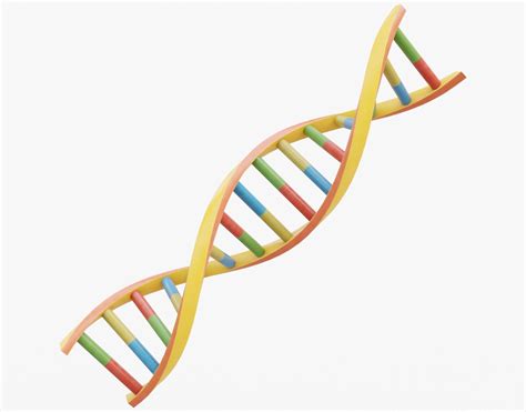 3d Asset Dna Double Helix Cgtrader