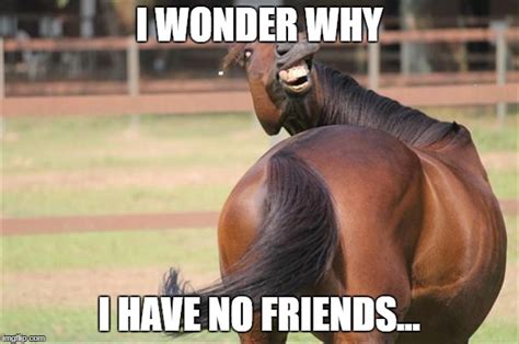 Funny Horse Memes Imgflip