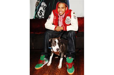 Chris Brown Launches Dum English Limited Edition