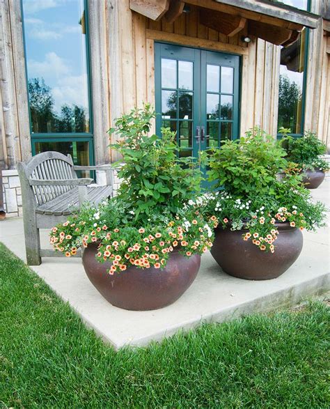 Beautiful Container Gardening Ideas Inspired Homelife