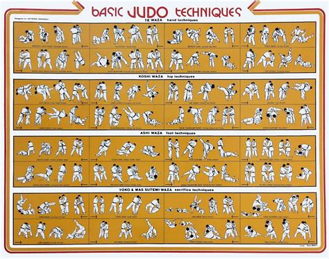 Basic Judo Techniques Poster Judo Judo Throws Self Defense Tips