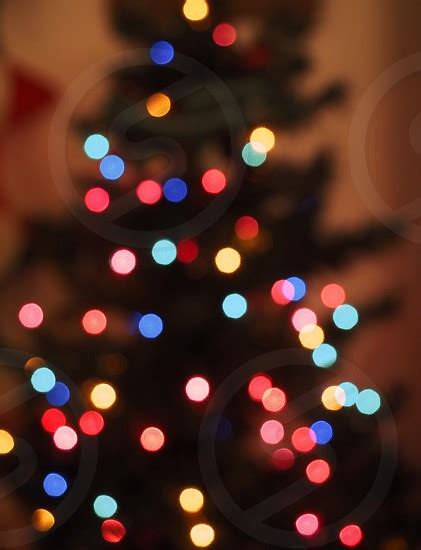 Bokeh Soft Focus Christmas Lights For Background By Lynne Bookey Photo