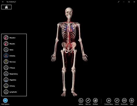 Essential Anatomy 3 Android Opolisstashok