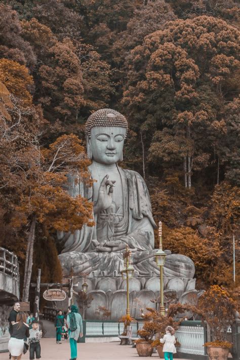 The great collection of buddha wallpapers for desktop, laptop and mobiles. Buddha Wallpapers: Free HD Download 500+ HQ | Unsplash