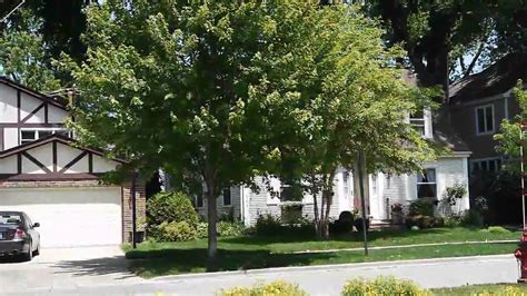 16.12.2020 · who is murray hone? Bill Murray's house in Wilmette - YouTube