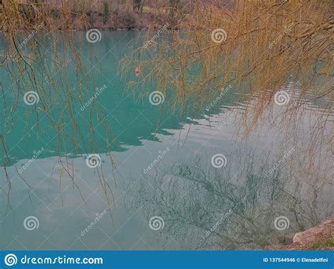 Mountain Lake With Turquoise Blue Water And Reflection Of Branches In