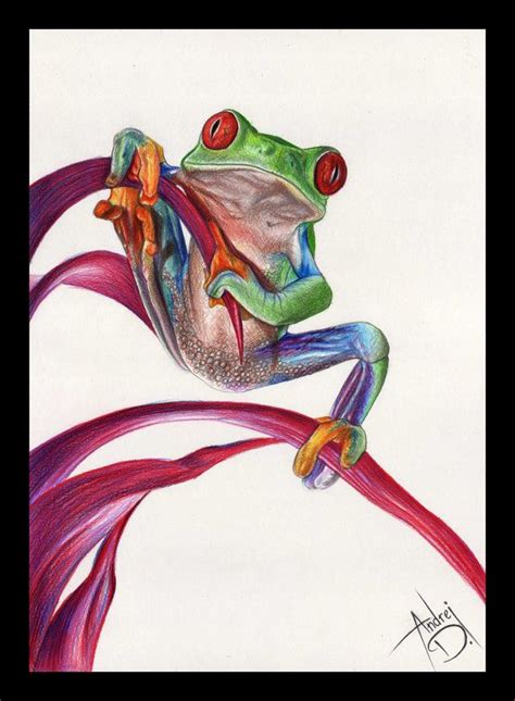 A Frog By Andrej2249 On Deviantart Frog Art Frog Frog Drawing