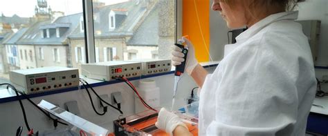 Les Unités De Recherche Station Biologique De Roscoff Cnrs Sorbonne Université