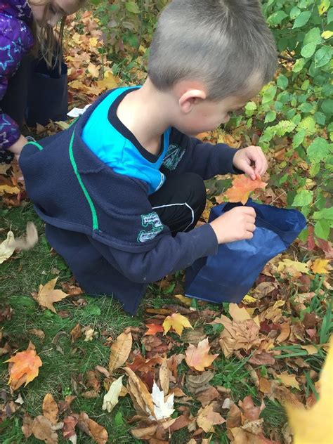 A Fall Nature Walk For Outdoor Learning Roots And Wings