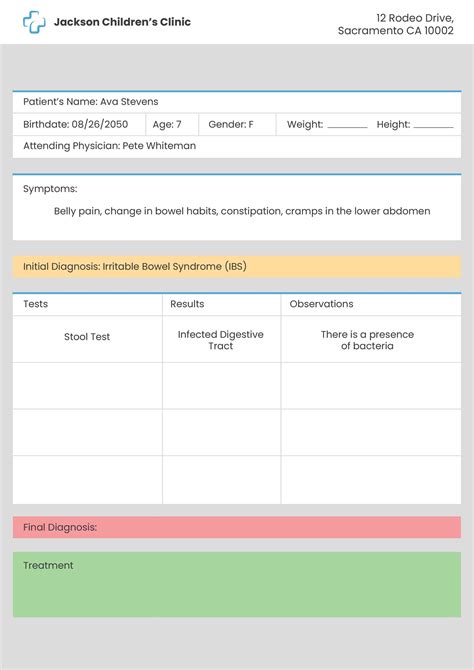 Free Patient Chart Templates And Examples Edit Online And Download