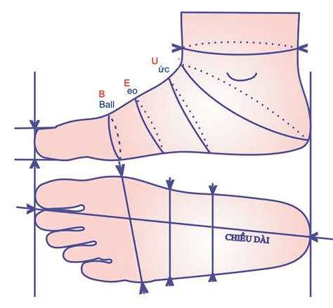 Cách Đo Size Giày Bitis Chính Hãng Đúng Chuẩn Bitis