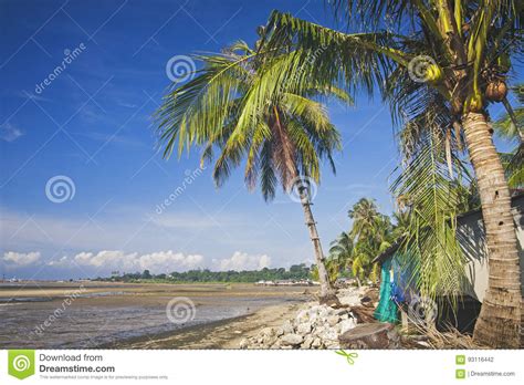Low Tide Stock Photo Image Of Time Wonderful Life 93116442