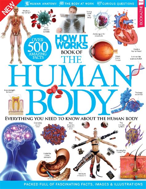 How It Works Book Of The Human Body Magazine Digital