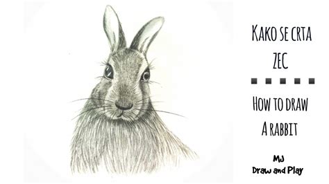 Kako Se Crta Zec SreĆan Uskrs ️ How To Draw A Bunny Youtube