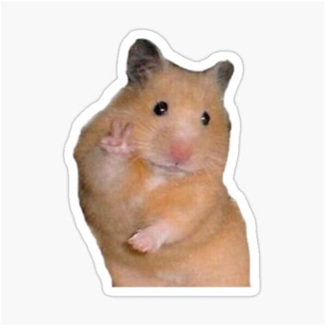 Hamster Meme Sticker For Sale By Animefleur Redbubble
