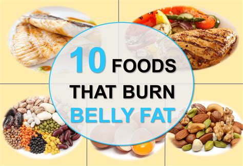 10 Foods That Burn Belly Fat Bodies By Bench