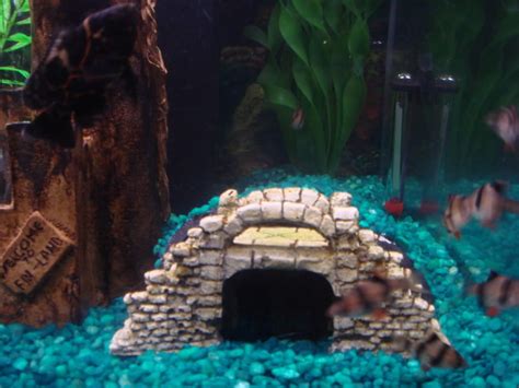 Use aquarium rocks to weight your plants! Pin on Aquariums