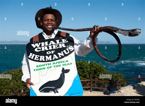 Hermanus Whale Festival South Africa Hi Res Stock Photography And