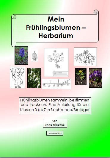 44 ideen von physik deckblatt klasse 8 malvorlagen fur bildung. Mein Herbarium - Buch - criAvis-Verlag